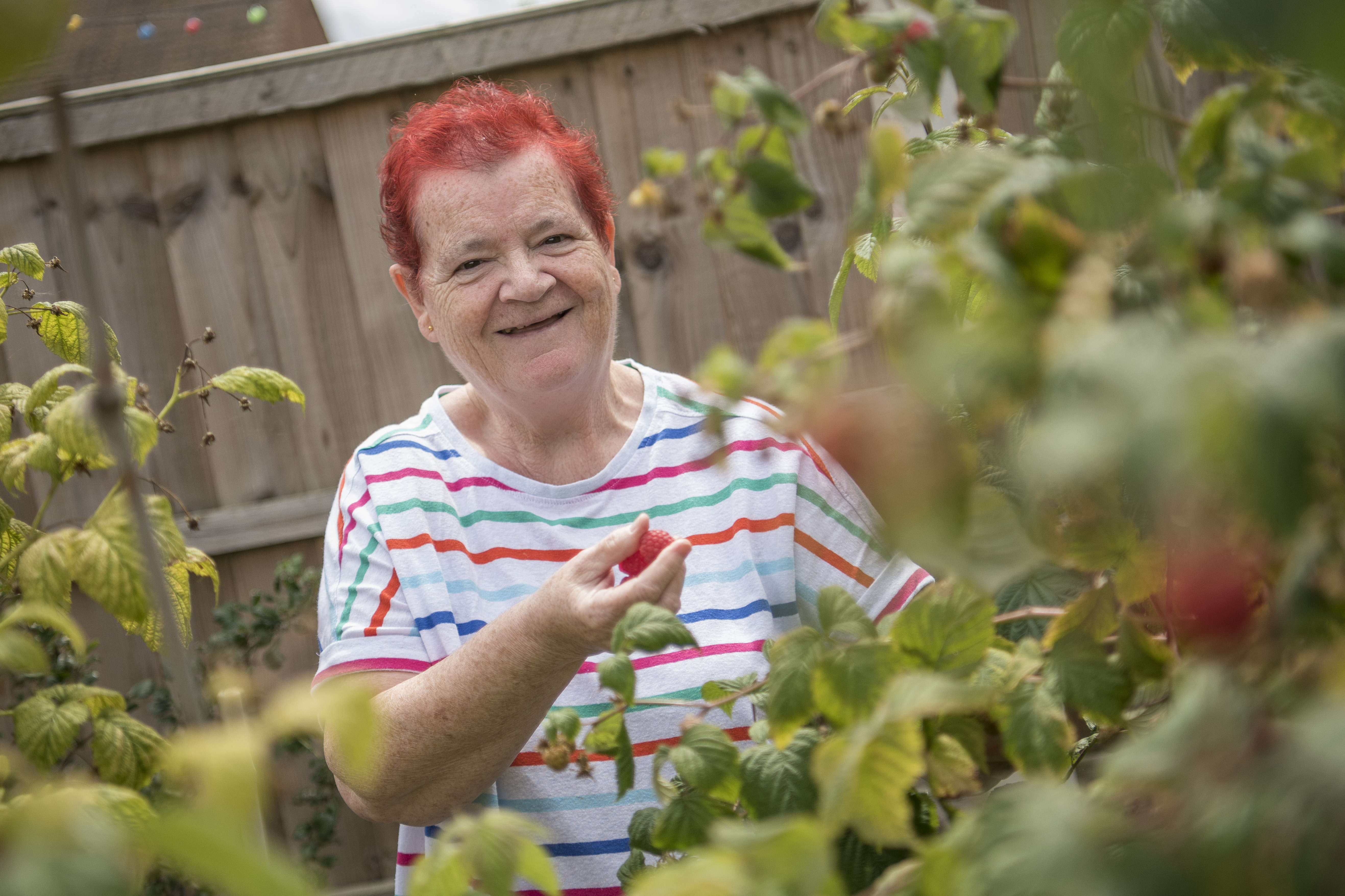 Red Haired Lady With Handpicked Raspberries